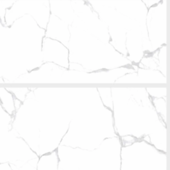 Aster Grey 