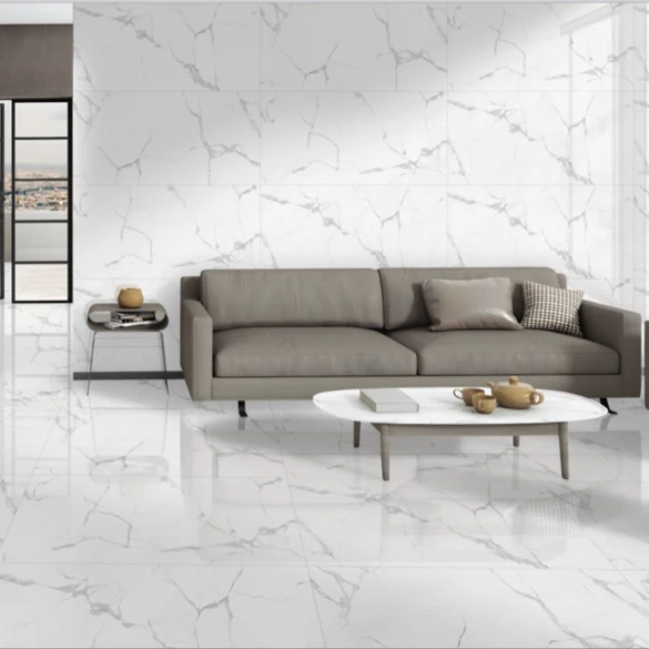 Aster Grey 